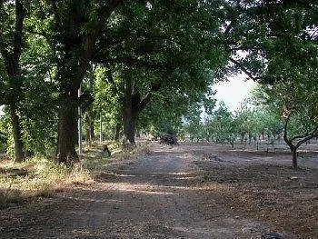 Agriturismo Terrenia *